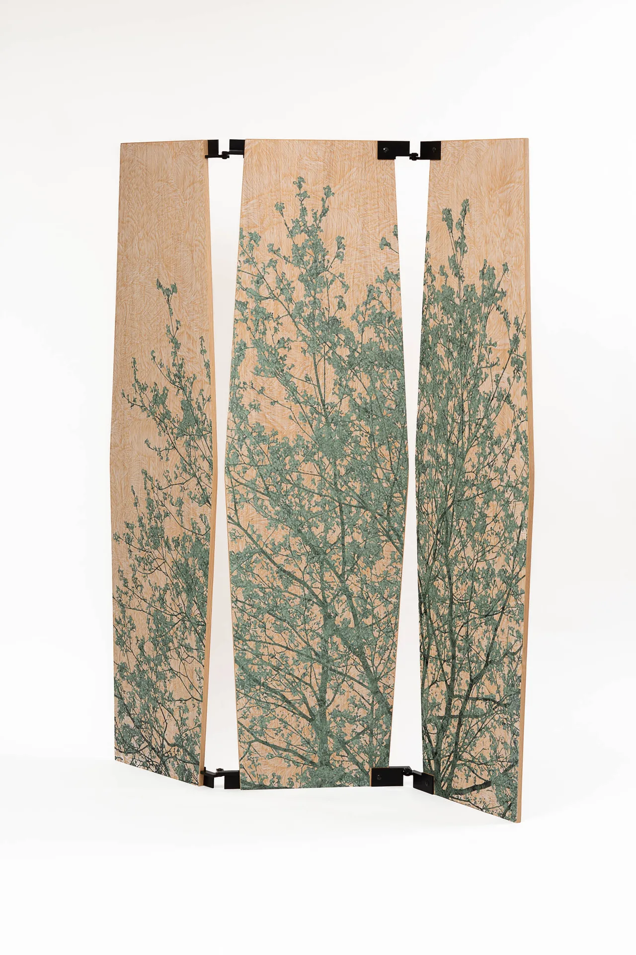 Severin screen