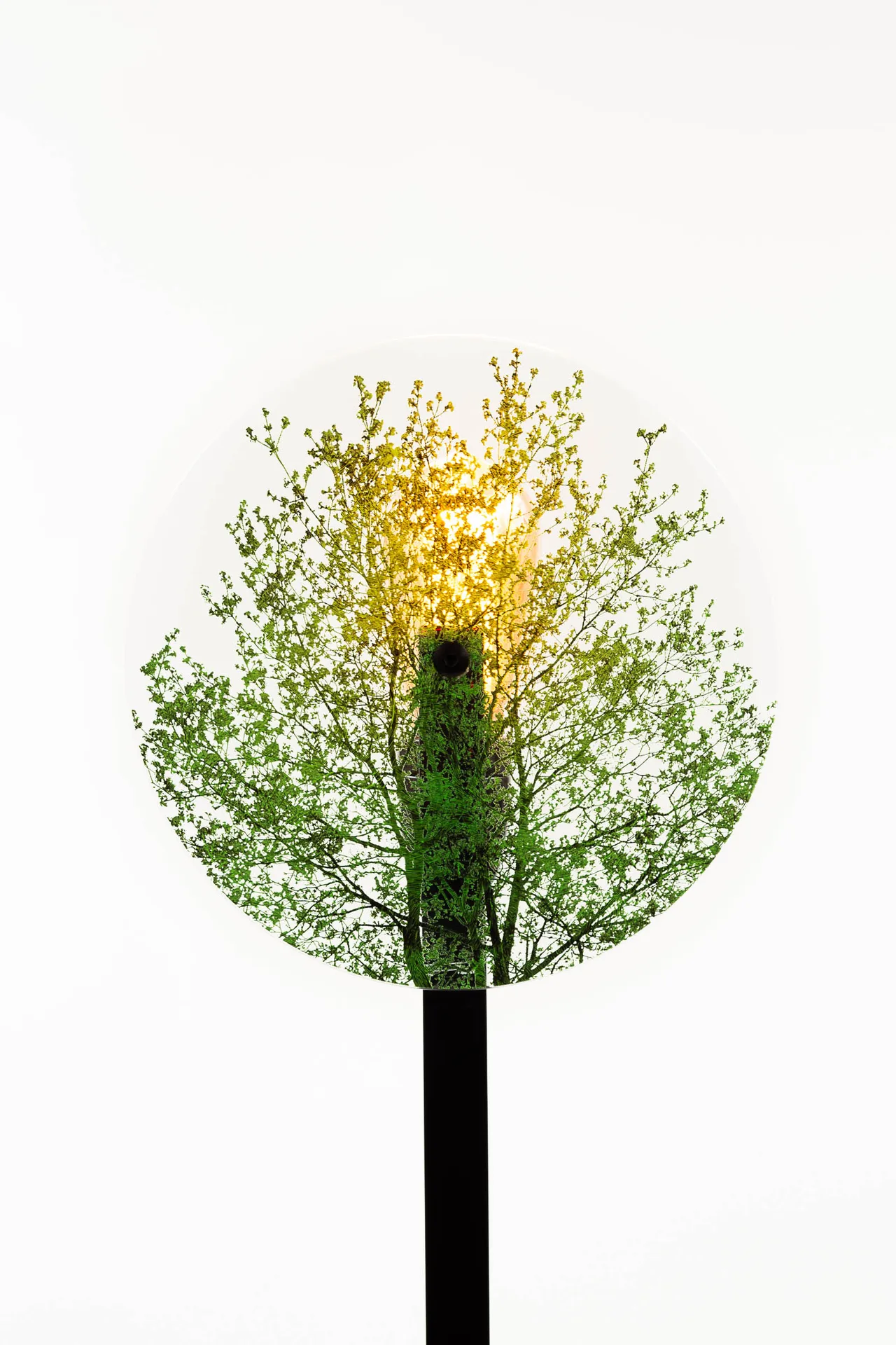 Lampadaire verre et métal design Vaneau